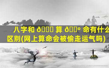 八字和 🐈 算 🌺 命有什么区别(网上算命会被偷走运气吗)